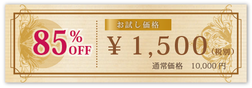 お試し価格