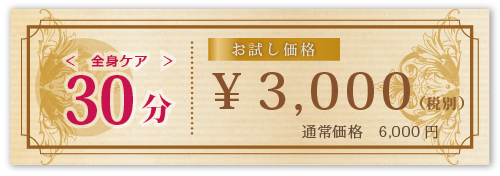 お試し価格